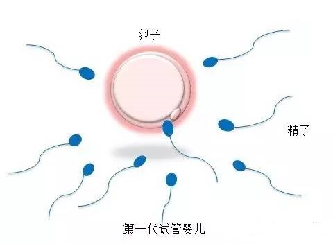 中药房